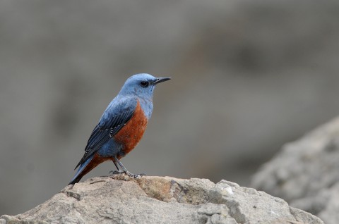 DSC_5363