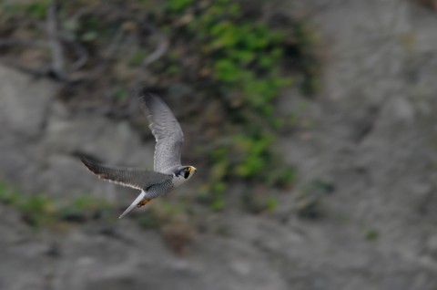DSC_6029