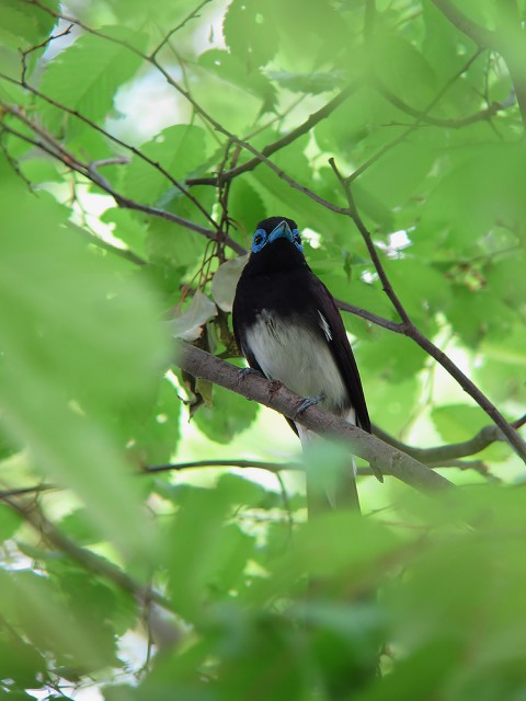 IMG_5346a