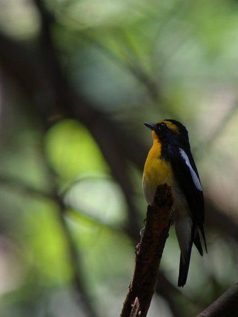DSCN4302