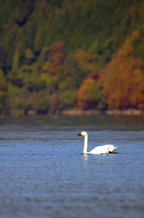DSC_2903