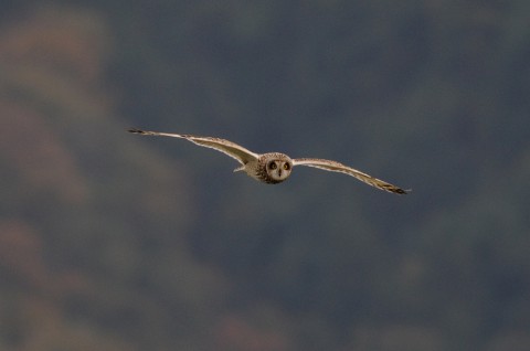 DSC_5691_a