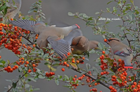 DSC_3001 DSC_3001