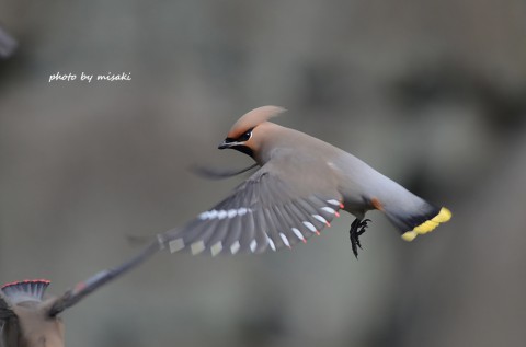 DSC_3216 DSC_3216