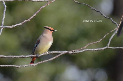 DSC_3282 DSC_3282