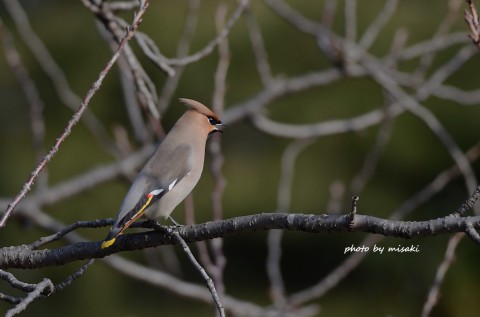 DSC_3348 DSC_3348