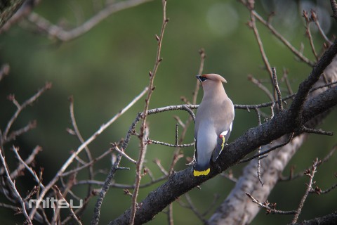IMG_0172 IMG_0172
