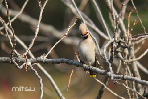 IMG_0415 IMG_0415