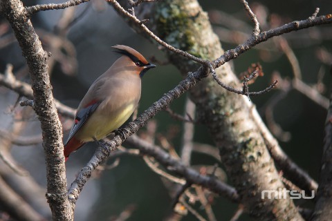 IMG_0725 IMG_0725