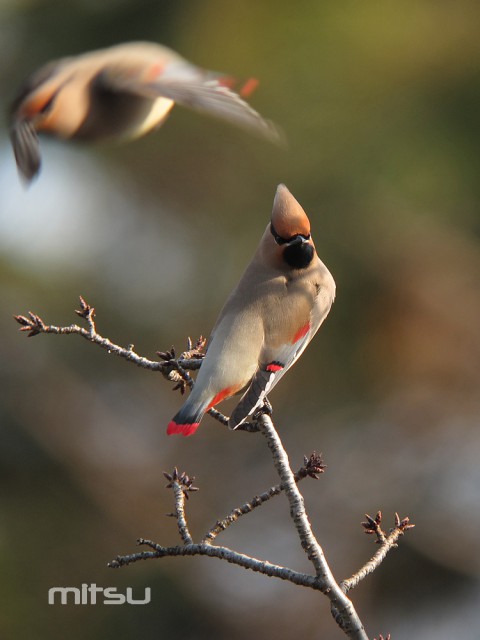 IMG_0841 IMG_0841