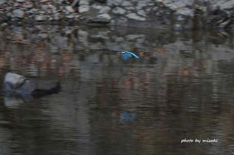 DSC_5611