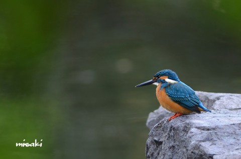 DSC_6053