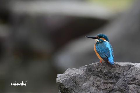 DSC_6172