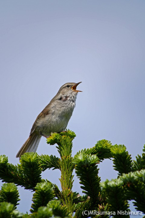 P2870914