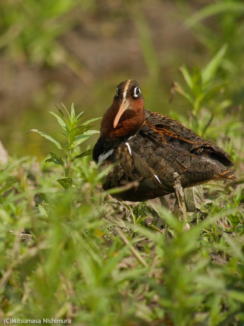 P3000897