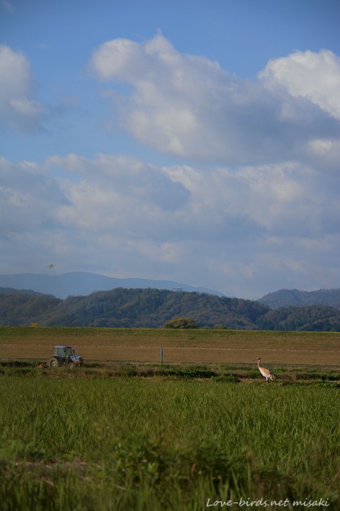 DSC_6273