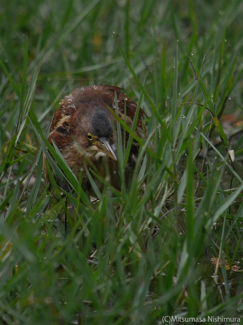 P3460223