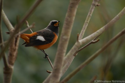 P3480258