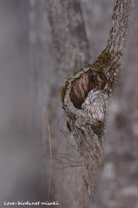 DSC_1183