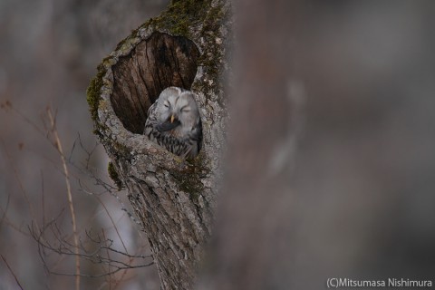 P3520767