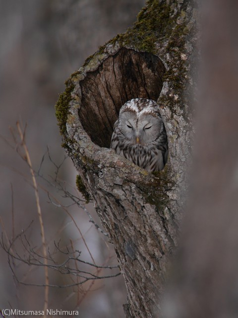 P3520770