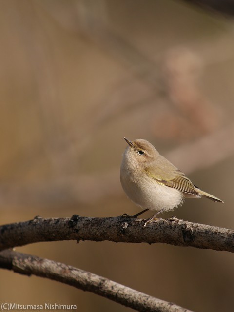 P3600344