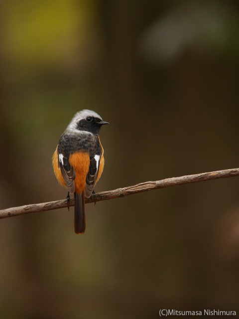 P3850477