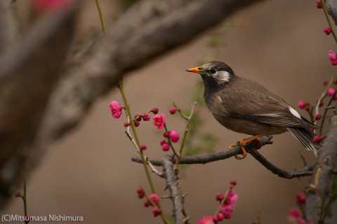 P3850773