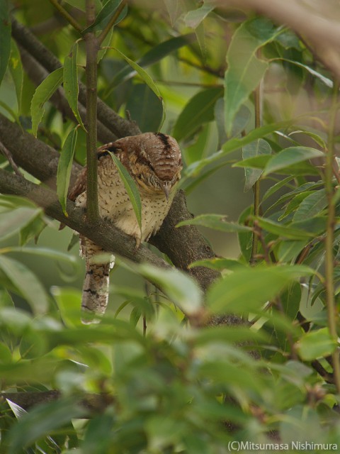 P3890803