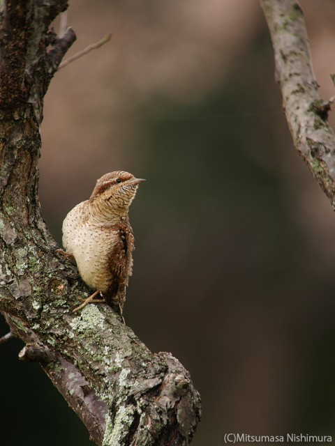 P3890904