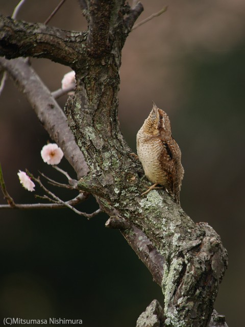 P3890917