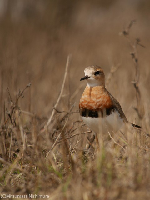 P3950324