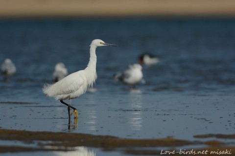 DSC_0009