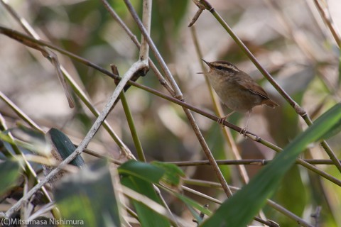 P3990203