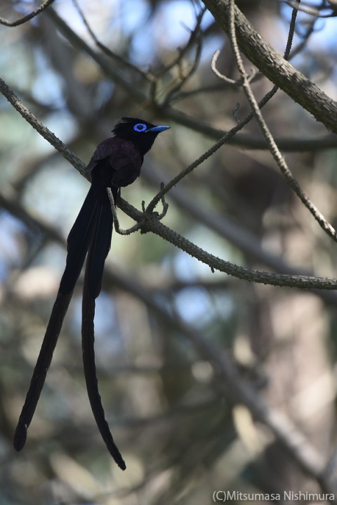 DSC_4939
