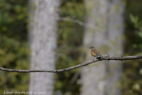 DSC_5022