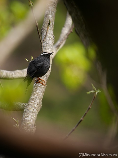 P4020639