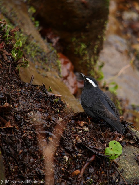 P4020905