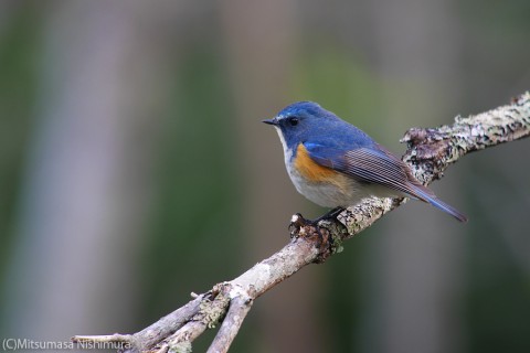 P4030336