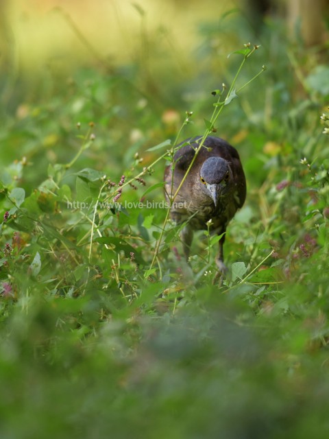 DSC_5744