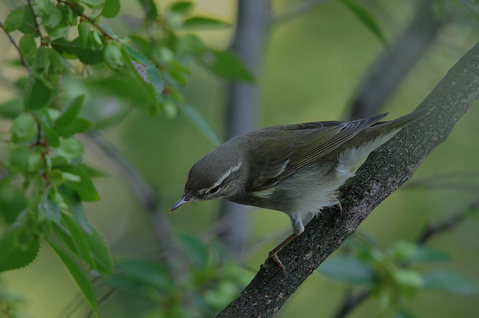 DSC_7659_1