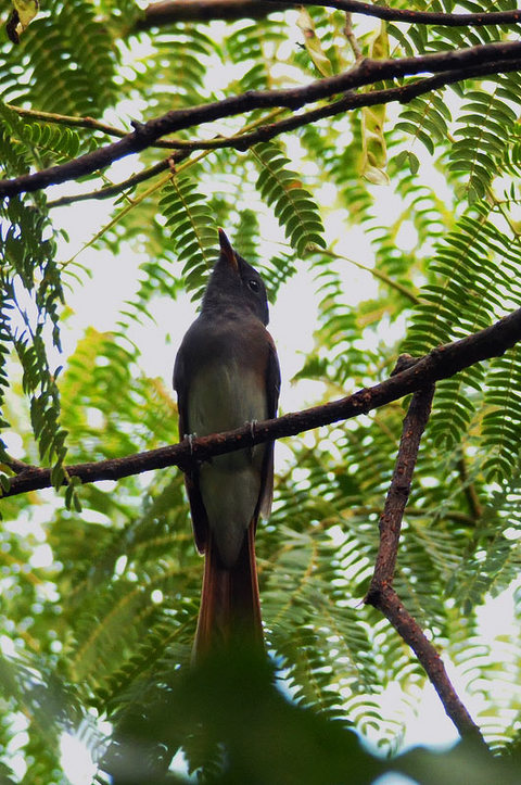DSC_7903_1