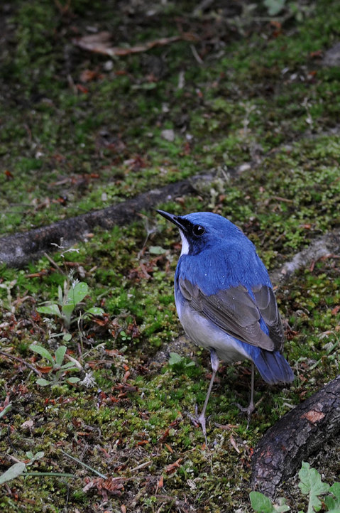 DSC_0073