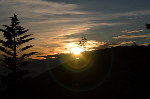DSC_6878_1