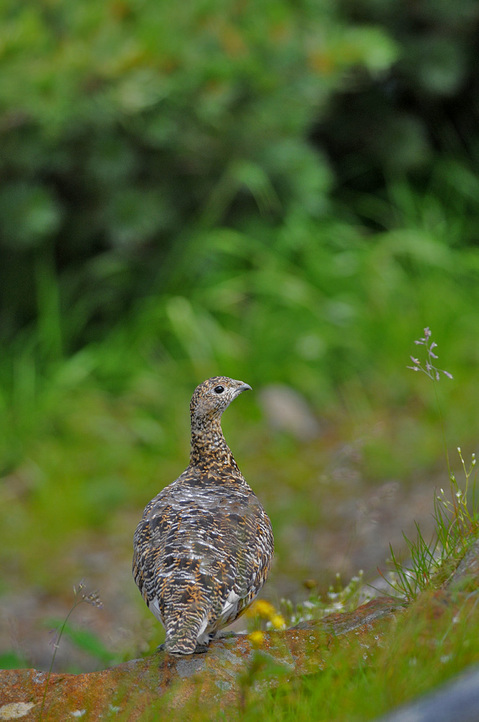 DSC_8055